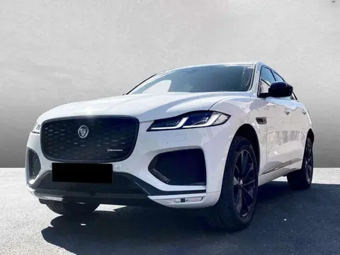 Used JAGUAR F-PACE Diesel 2023 Ad 