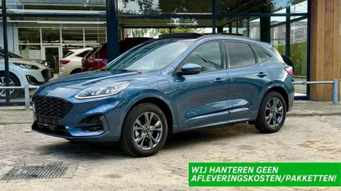 Used FORD KUGA Hybrid 2023 Ad 