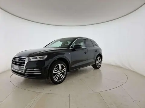 Used AUDI Q5 Diesel 2018 Ad 