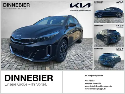 Annonce KIA XCEED Essence 2024 d'occasion 