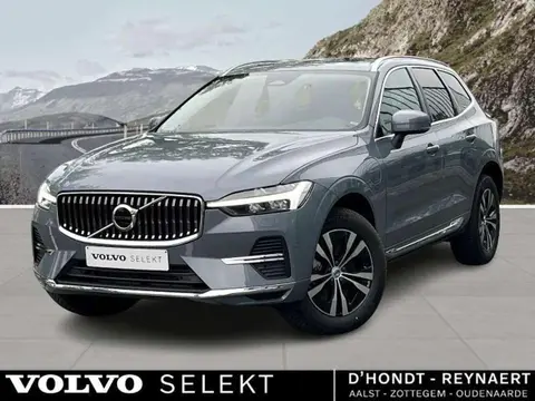 Annonce VOLVO XC60 Hybride 2023 d'occasion 