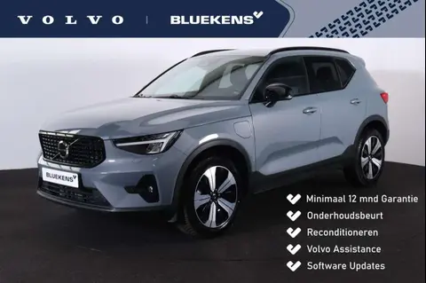 Used VOLVO XC40 Hybrid 2022 Ad 