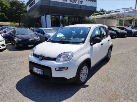 Annonce FIAT PANDA Hybride 2024 d'occasion 