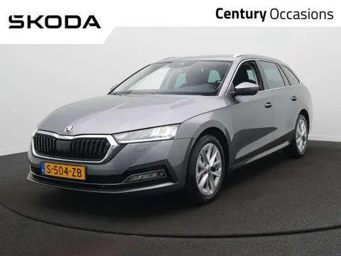 Used SKODA OCTAVIA Petrol 2023 Ad 