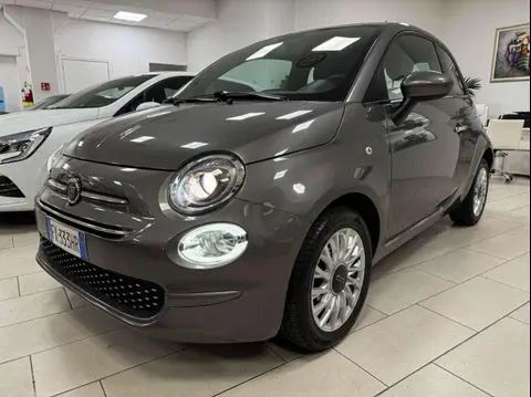 Used FIAT 500 Petrol 2019 Ad 