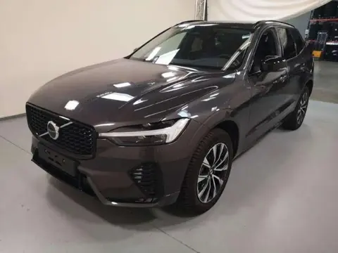 Used VOLVO XC60 Diesel 2023 Ad 