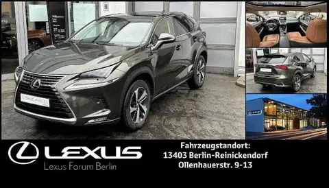 Annonce LEXUS NX Hybride 2021 d'occasion 