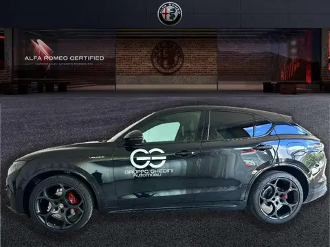 Used ALFA ROMEO STELVIO Diesel 2023 Ad 