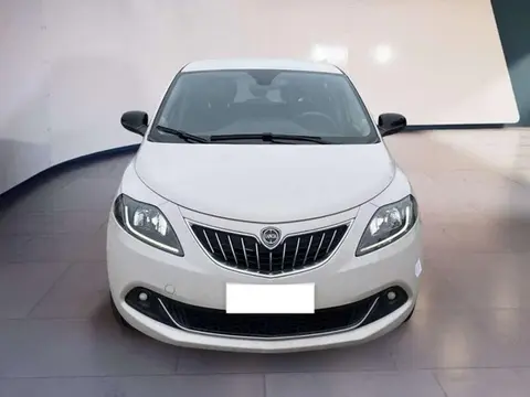 Used LANCIA YPSILON Hybrid 2022 Ad 