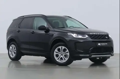 Annonce LAND ROVER DISCOVERY Hybride 2023 d'occasion 