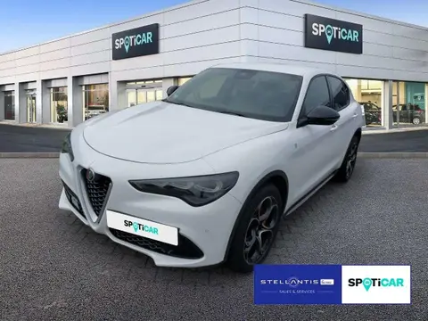 Used ALFA ROMEO STELVIO Petrol 2023 Ad 