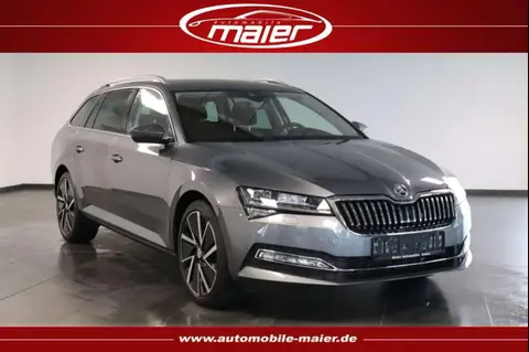 Annonce SKODA SUPERB Diesel 2023 d'occasion 