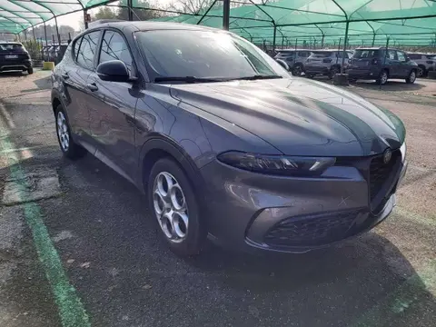 Used ALFA ROMEO TONALE Hybrid 2022 Ad 