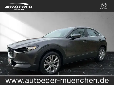 Annonce MAZDA CX-30 Essence 2020 d'occasion Allemagne