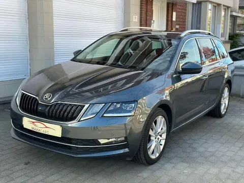 Annonce SKODA OCTAVIA Diesel 2019 d'occasion 