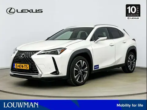 Used LEXUS UX Hybrid 2023 Ad 