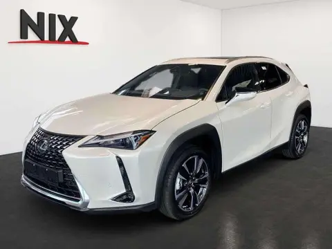 Used LEXUS UX Hybrid 2024 Ad 