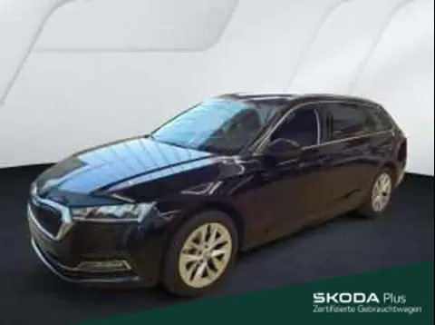 Annonce SKODA OCTAVIA Essence 2024 d'occasion 