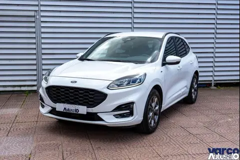 Used FORD KUGA Petrol 2021 Ad 