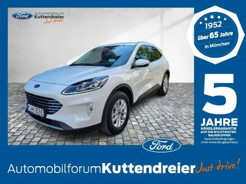 Used FORD KUGA Hybrid 2024 Ad 