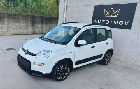 Annonce FIAT PANDA Hybride 2021 d'occasion 