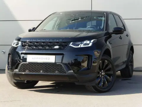 Annonce LAND ROVER DISCOVERY Diesel 2021 d'occasion 