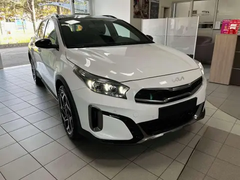 Used KIA XCEED Hybrid 2024 Ad 