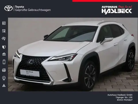 Used LEXUS UX Hybrid 2021 Ad 