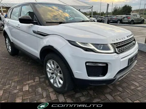 Used LAND ROVER RANGE ROVER EVOQUE Diesel 2019 Ad 