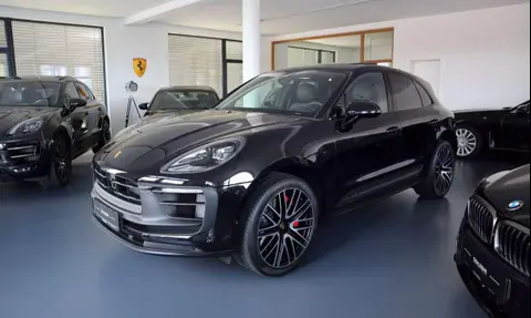 Used PORSCHE MACAN Petrol 2024 Ad 