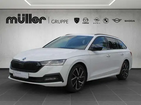 Annonce SKODA OCTAVIA Diesel 2020 d'occasion 