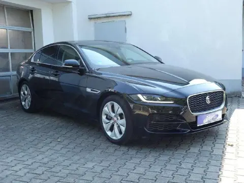 Annonce JAGUAR XE Essence 2020 d'occasion 