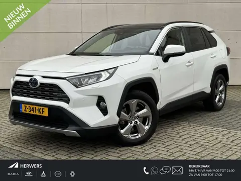 Used TOYOTA RAV4 Hybrid 2020 Ad 