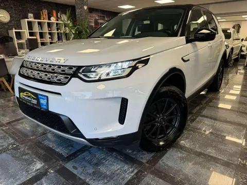 Used LAND ROVER DISCOVERY Diesel 2019 Ad 