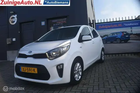 Annonce KIA PICANTO Essence 2019 d'occasion 