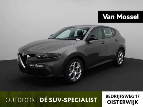 Used ALFA ROMEO TONALE Hybrid 2023 Ad 