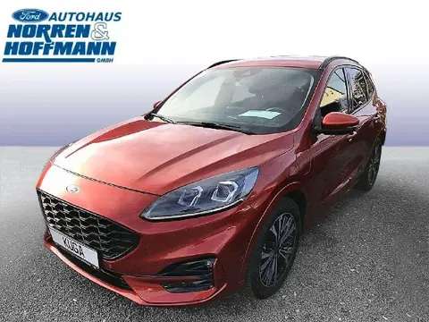 Used FORD KUGA Hybrid 2020 Ad 