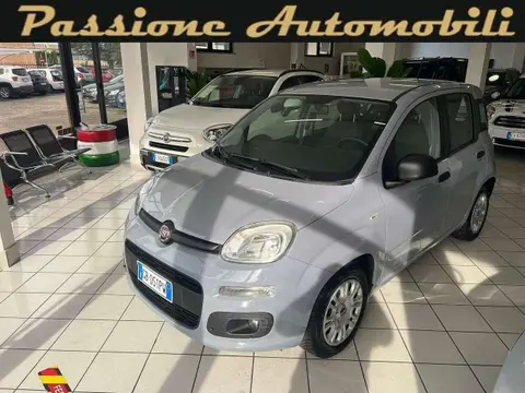 Used FIAT PANDA Hybrid 2020 Ad 