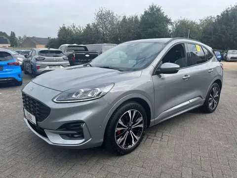 Used FORD KUGA Petrol 2022 Ad 