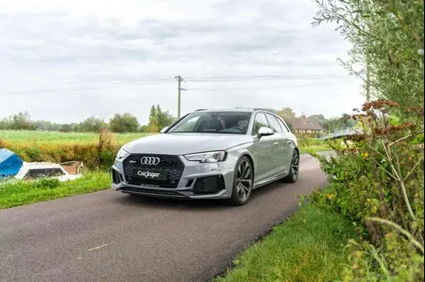 Used AUDI RS4 Petrol 2019 Ad 