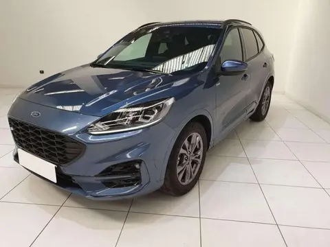 Annonce FORD KUGA Essence 2023 d'occasion 