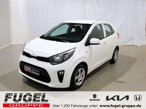 Used KIA PICANTO Petrol 2024 Ad 