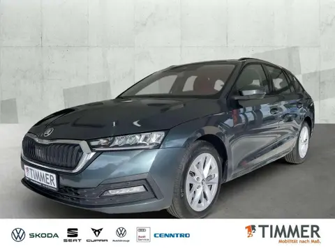 Used SKODA OCTAVIA Diesel 2021 Ad 