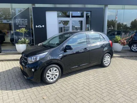 Annonce KIA PICANTO Essence 2020 d'occasion 