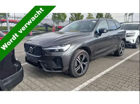 Used VOLVO XC60 Hybrid 2022 Ad 