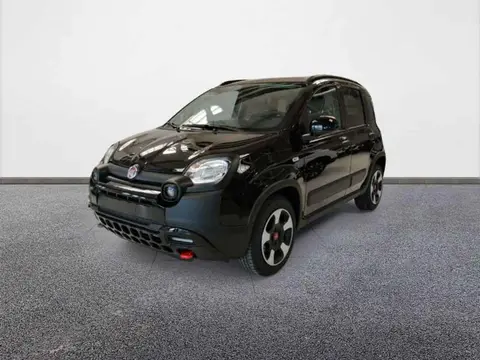 Annonce FIAT PANDA  2024 d'occasion 