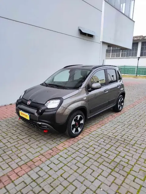 Used FIAT PANDA Hybrid 2023 Ad 