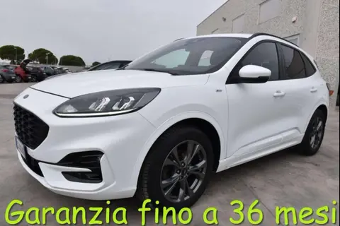 Used FORD KUGA Diesel 2021 Ad 