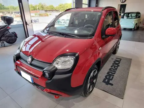 Used FIAT PANDA Hybrid 2023 Ad 