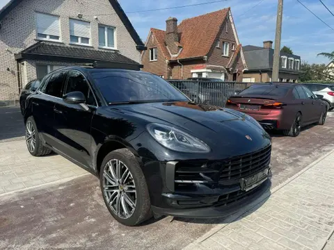 Annonce PORSCHE MACAN Essence 2024 d'occasion 